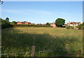 Grass field, Wellesbourne