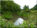 Creekmoor, drainage channel