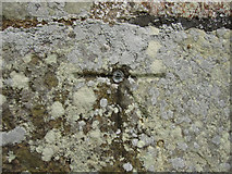 SE8983 : 1GL bench mark and bolt on Ebberston church tower by John S Turner