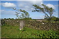 Trig point on Marsden Height