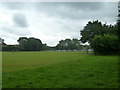 Pitch inspection at Liss Cricket Club (i)