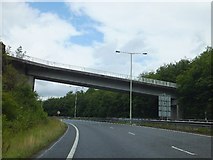ST0996 : Goitre-Coed Road bridge over A470 by David Smith