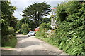 Lane leading from the A394