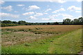 Crop Fields near Park Farm Camping site