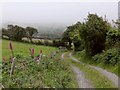 SN0835 : Farm track to Cilwen by Stefan Czapski
