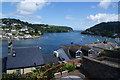 Rooftops above the Dart Estuary