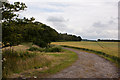 The track towards Sharples Plantation