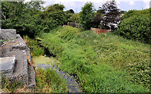 J1264 : Disused Lagan canal. Aghalee (1) by Albert Bridge