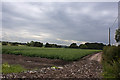 A track cleared at the edge of the crop by Blind Foot Road