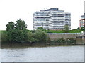 River bank near Hammersmith