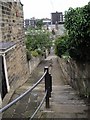 Union Rd, Whitby (looking south)