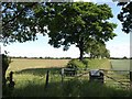 SP2656 : Field boundary near Charlecote by Derek Harper
