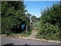 Footpath leaves road