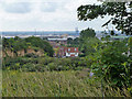 View over Globe Pit,  Grays