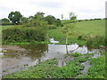 ST8386 : The infant River Avon by David Purchase
