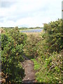 Footpath at Wheal Jane