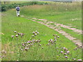 Greensand Way Near Dungate