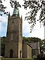 The spire of Seaforde CoI parish church