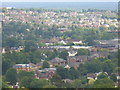 Reigate from Colley Hill