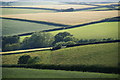 Rolling Devon fields near Dartmouth