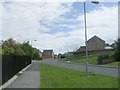 Stead Hill Way - viewed from Cote Farm Lane