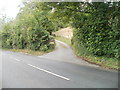 SO2715 : Entrance drive to Glan Hyfryd near Abergavenny by Jaggery