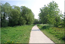 TQ7059 : Path in Leybourne Lakes Country Park by N Chadwick