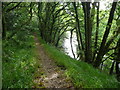 Path high above the Eastern Cleddau in July