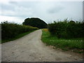 The way to Nova Lodge farm