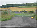 NZ3139 : Field gate from the A688 by peter robinson