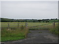 Field gate from the A688 to land on Cassop Moor