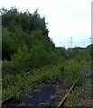 Gascoigne Wood Mine disused sidings