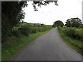 A straight stretch of Farranfad Road west of the Bucks Head Road Crossroads