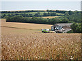 Bishopstone Manor Farm