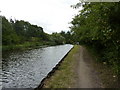 Quiet stretch of Sheffield & Tinsley Canal