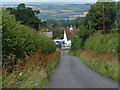 Hele hill, looking north (and downhill)