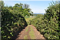 Steep Farm Access