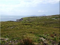 L7893 : Coastal grazing looking towards Clare Island by John M