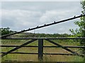 Ten swallows on a gate, west side of Black Dyke Lane