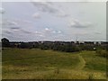 View of the Anerley TV transmission mast from South Norwood Country Park #2