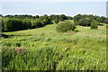 Path approaching Castlehawk Golf Course