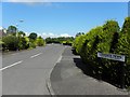 Lisnagade Mews, Derrytrasna