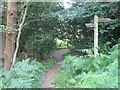 Tandridge Border Path meets Sussex Border Path