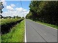 Bannfoot Road, Derryloste