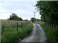 Narrow lane in Glanbidno