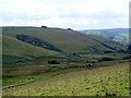 Cefn Hirbrysg viewed from Pen y Foel