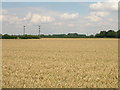 Farmland, West Field