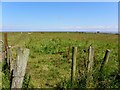 Derryinver Townland