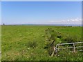 Lough Neagh at Derrytrasna