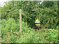 Footpath off Chapel Field Road